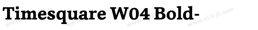 Timesquare W04 Bold字体转换